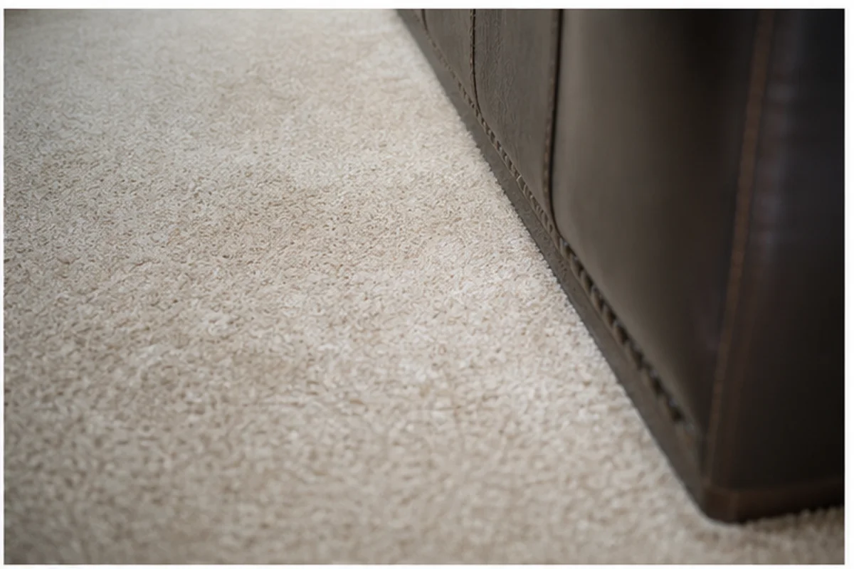 Close professional detail of pet odor removal assessment in a Griffith home